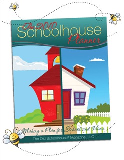2010HSPlannerCover