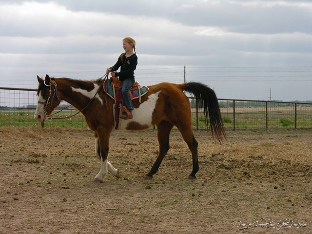 Nature Study Tuesday~Horsing Around~April 26