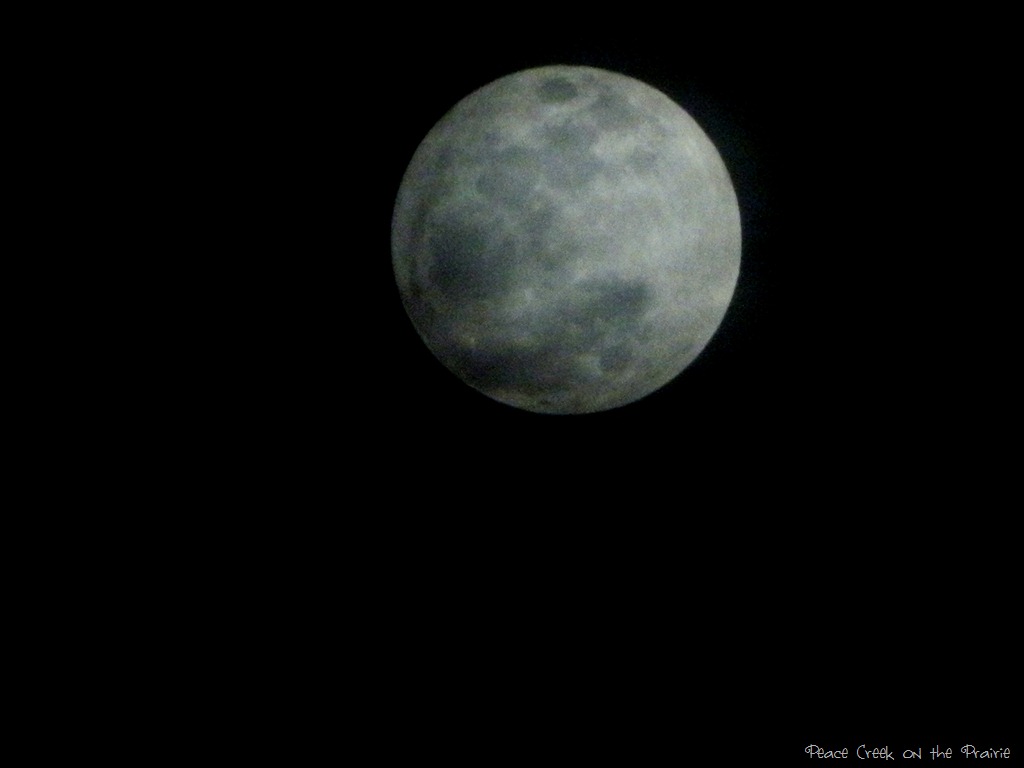Super Moon May 5