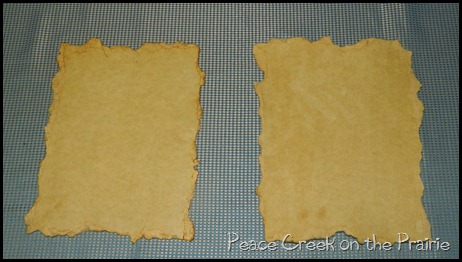 Finsihed Antiqued Paper