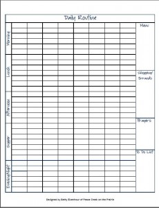 Daily Routine to help the large family mom keep her family on track. 