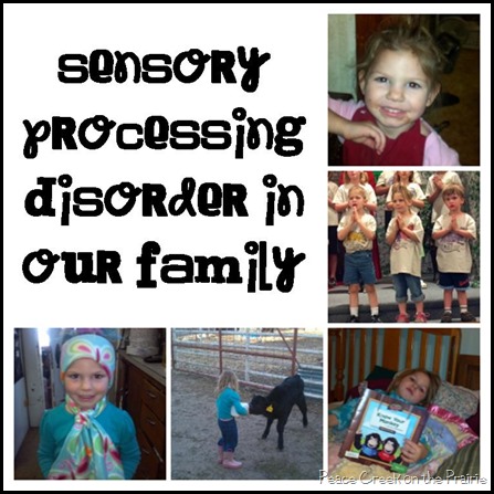 Sensory Processing Disorder in Our Family 