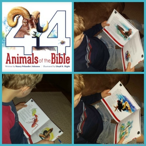44 Animals of the Bible Review from Betty at Peace Creek on the Prairie, one of the Moms of Masterbooks